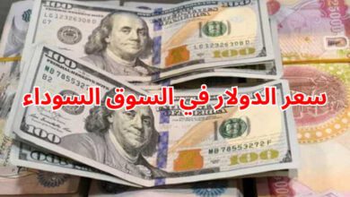 سعر الدولار اليوم مقابل الجنيه المصري في السوق السوداء السبت 24 نوفمبر 2024